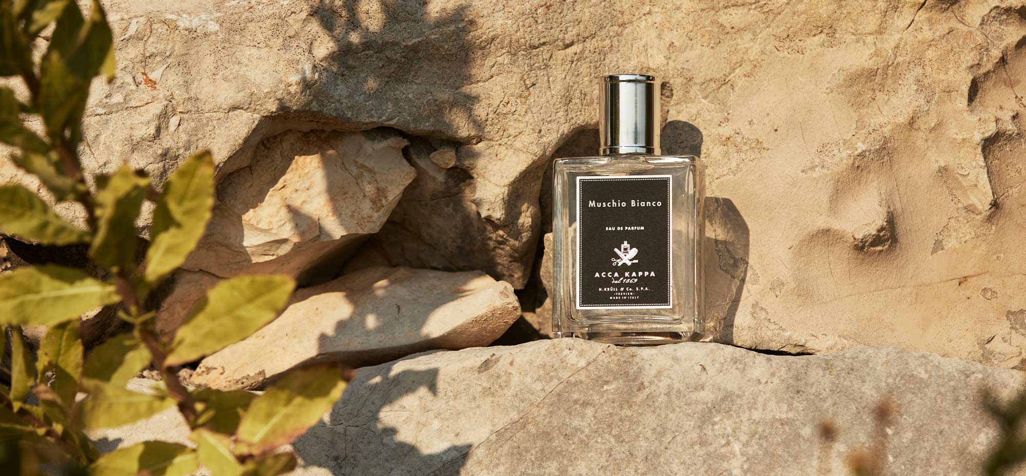 White Moss Eau de Parfum