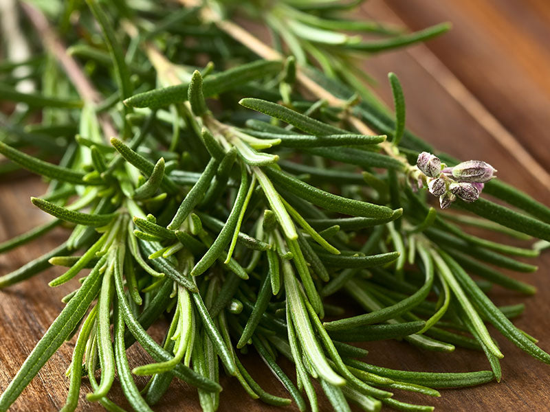 Rosemary-Image